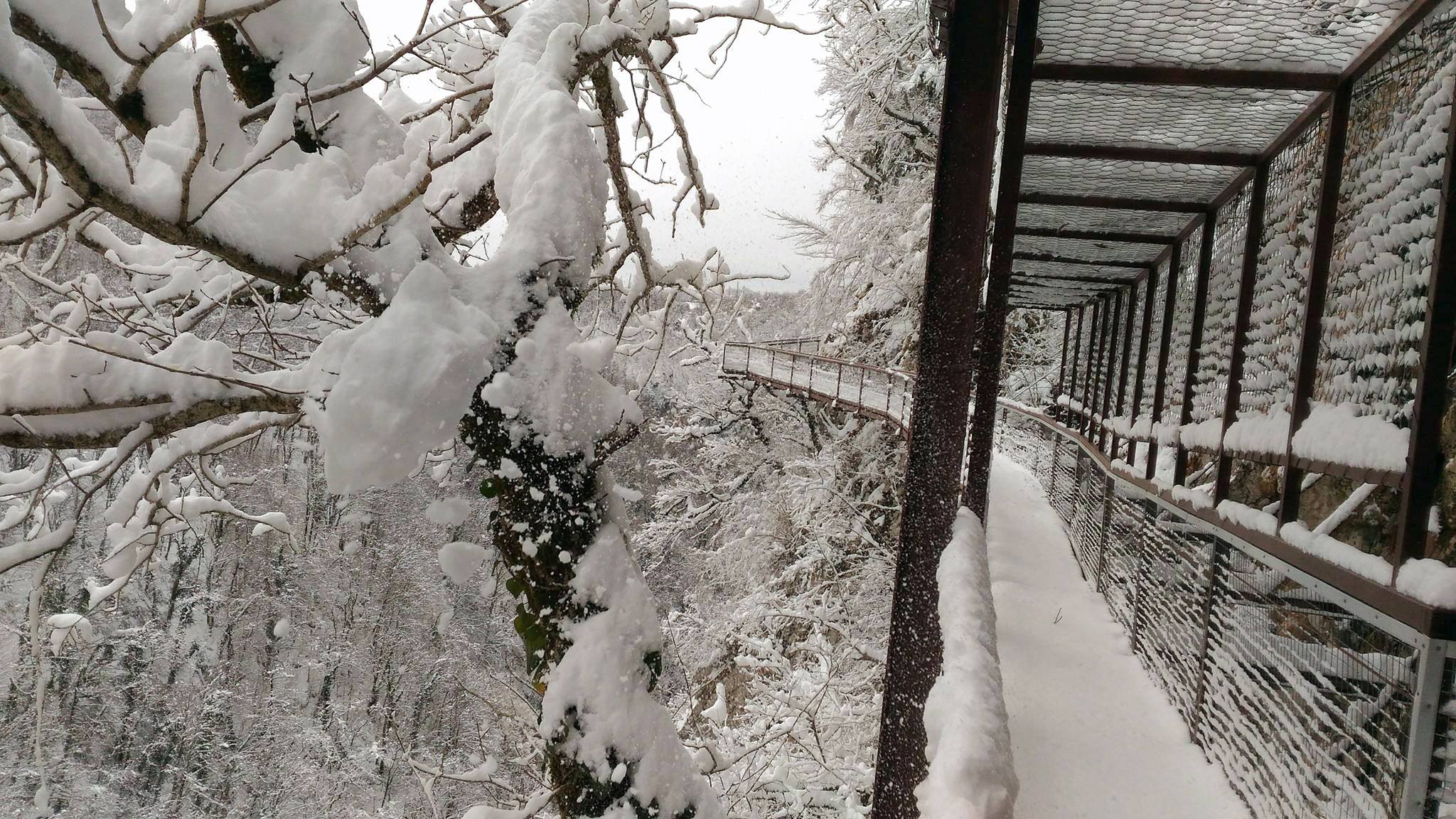 Летом ежедневно кроме понедельника с 10:00 до 18:00, зимой с 10:00 до 17:00. Kanon Okace Kotoryj Vy Ne Uznaete Friend In Georgia