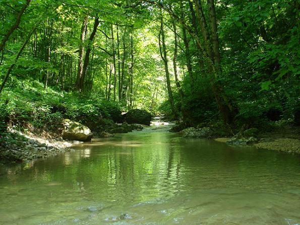 25/05/2021 · река мишоко — правый приток реки белой. Adygturs Ushele Reki Meshoko