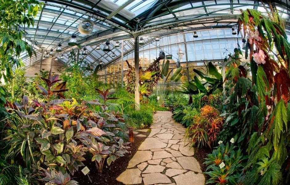 Ботанический сад казанского федерального университета является . Sajt 4 A Klassa Shkoly 44 Zvyozdochki Botanicheskij Sad Ekskursiya Na 25 Maya V 11 00 Chasov