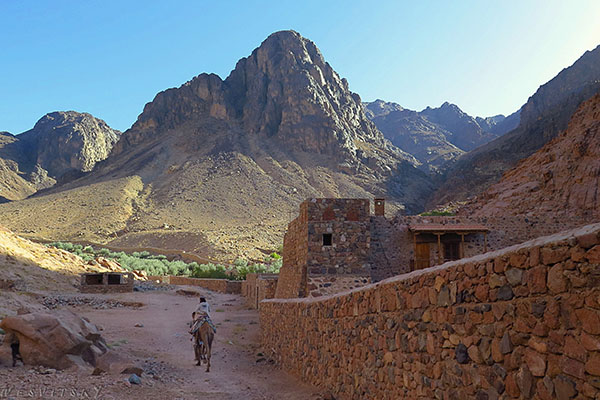 38+ Экскурсия Гора Синай Цены 2022