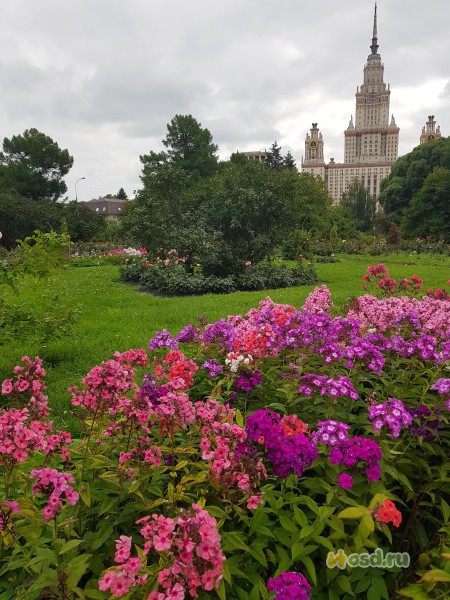 39+ Отзывы Ботанический Сад Цены 2022