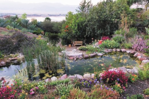 45+ Ботанический Сад Цена Фото