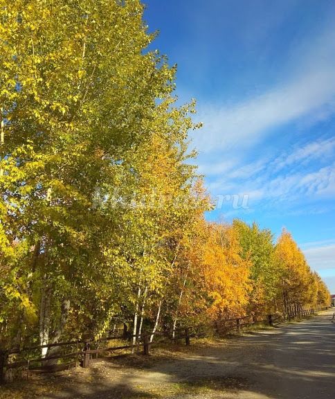 14+ Экскурсия Осень 2 Класс Фото