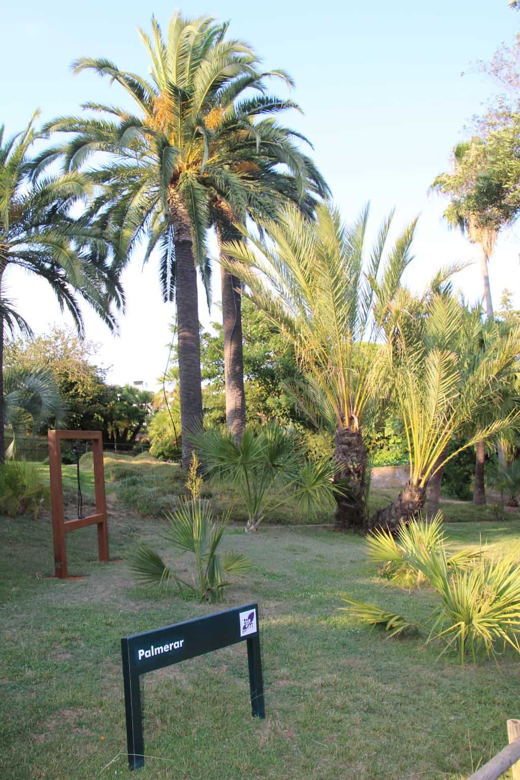 С 15 февраля по 31 октября есть дополнительная экскурсия в 17:00. Botanicheskij Sad Blanes Chasy Raboty Botanicheskij Sad Marimurtra V Blanese Ispaniya Vremya I Stoimost Posesheniya