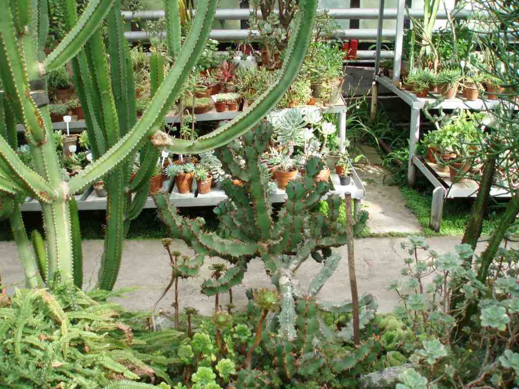 Лучших Экскурсия В Ботанический Сад Екатеринбург&nbsp;Отзывы