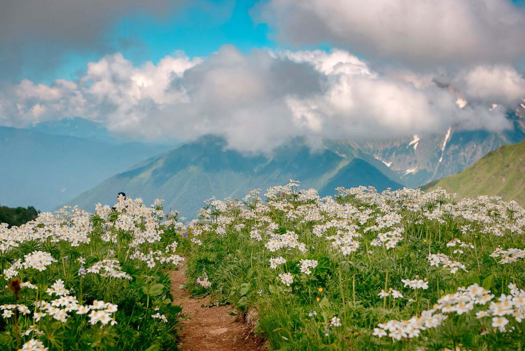 Эксклюзивные Туры В Горы Сочи&nbsp;Фото