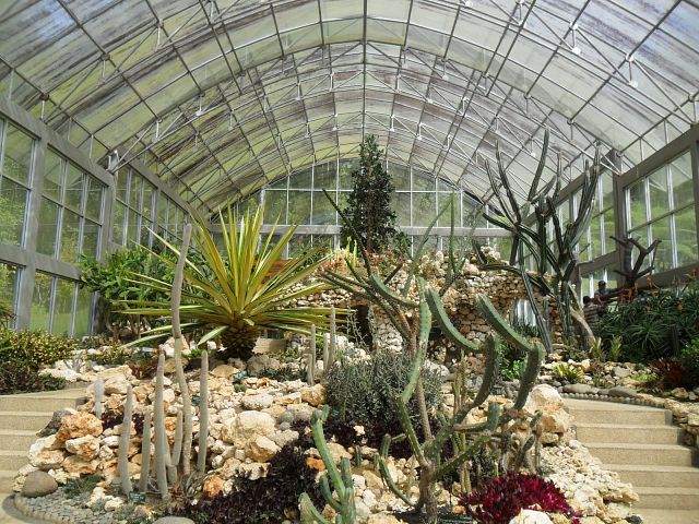 Инфо Ботанический Сад Оранжерея Как Добраться цены и отзывы&nbsp;2022