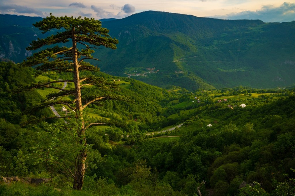 Лучших Экскурсия По Каньонам Черногории Цены&nbsp;2022