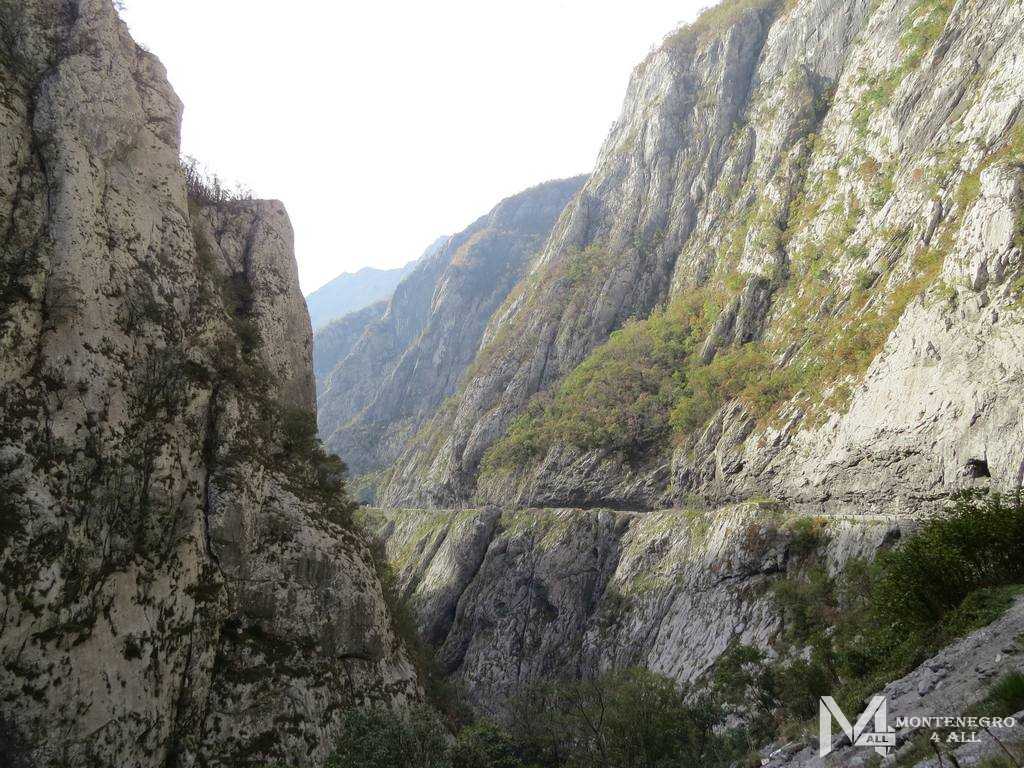 Лучших Экскурсия Каньоны Черногории Отзывы цены и отзывы&nbsp;2022