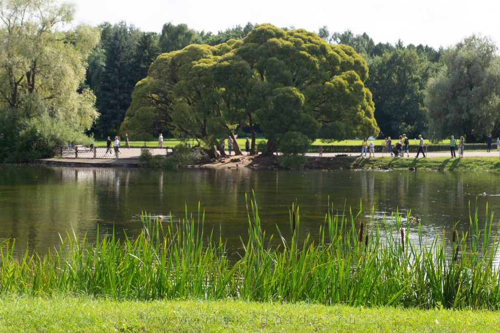 Инфо Ботанический Сад Москва Цена Билета 2021 цены и отзывы&nbsp;2022