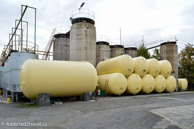 44+ Завод Киндзмараули Экскурсия Картинки